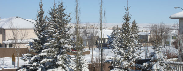 North West Calgary